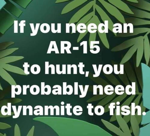 FB_IMG_1660132799136