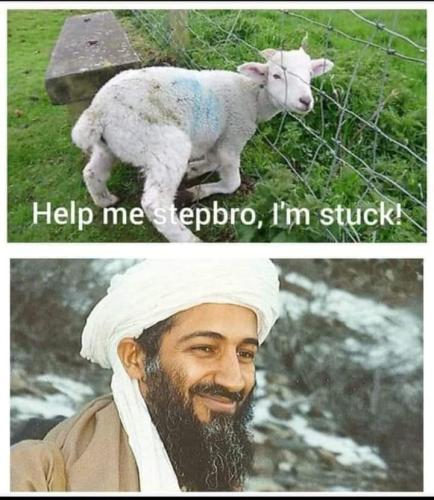 FB_IMG_1660467027158