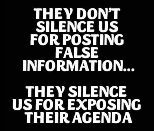 279245144_1504748419957674_970997997372068938_n