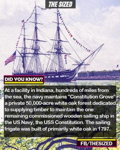 299781250_594853745414280_4363042228599941729_n