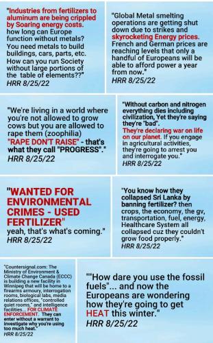 Screenshot_2022-08-25-12-55-00-719_com.google.android.apps.photos~2