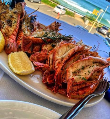 tumblr_9b0e0565306b279ebc3a5a6d17094d21_71fe6e03_540