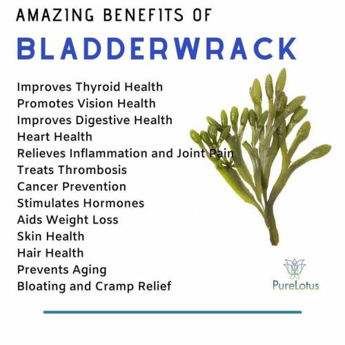 07:43:31 GMT-0500 (CDT)