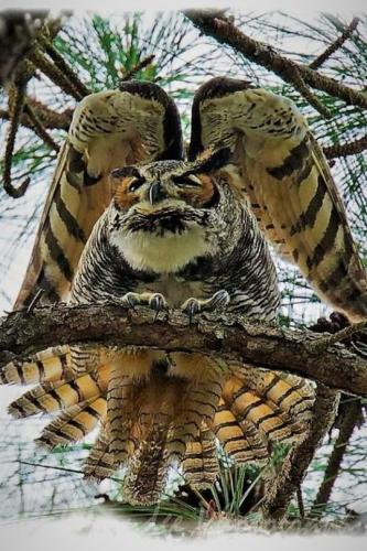 tumblr_6527213b0f66d65318bf39a8938a3b66_4efbe381_540