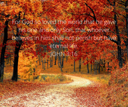 B9C7250723487DE674F35E148F98ECA2.biblea