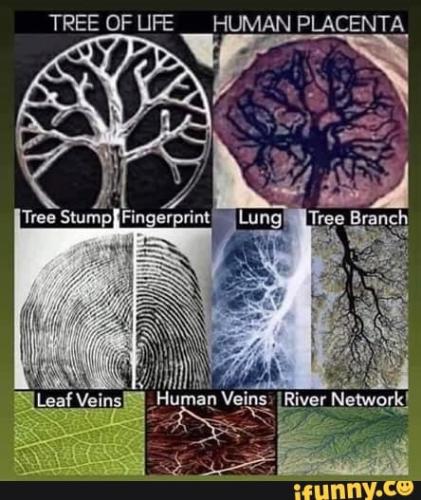 23460cd64250ec8b4274fe1a4d5cde6547b80d6660b88eb94c60a649ba3170e9_1