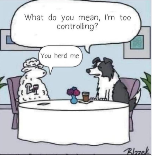 62f1ccff-050d-47ab-a6a0-ccff5a9da441_1022x1052