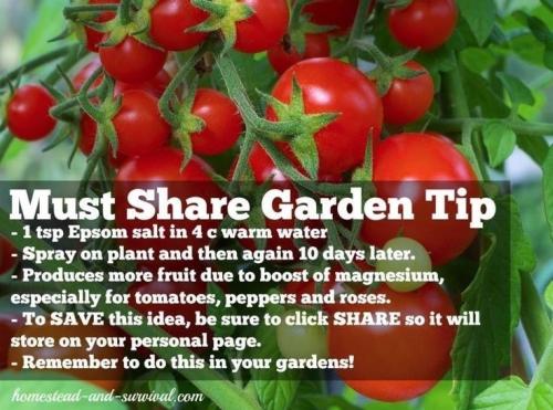 300635679_5285186628243204_1109838620324024369_n