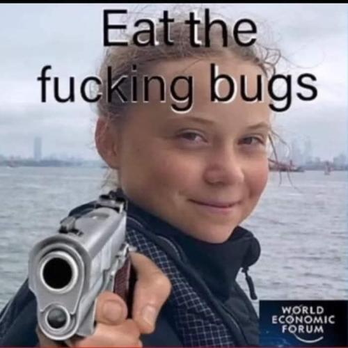 bugs eat