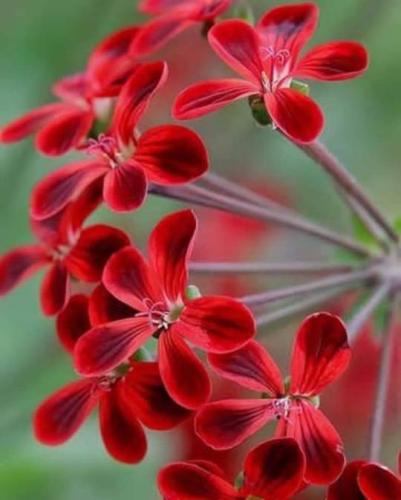 tumblr_df1e445b4d4c25782420302a6f4204d5_a325c43b_540