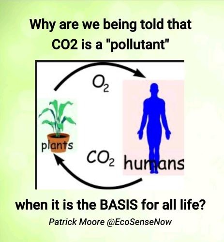 Screenshot_2022-08-09-10-08-17-313_cn.wps.moffice_eng~2