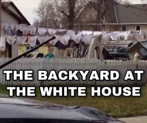 FB_IMG_1661820637277