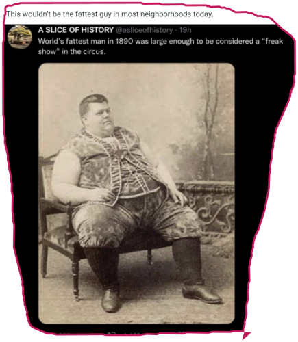 snapshot_gab.com_1660141733240