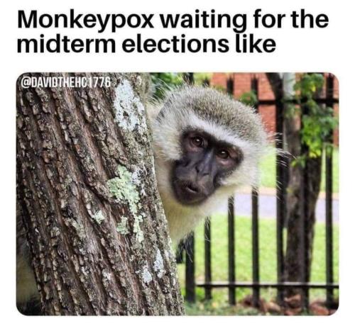 297066698_1120146385548106_6674309145548125929_n