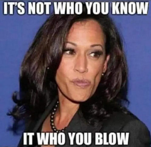 kamala harris203