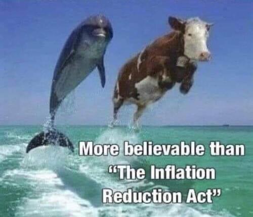 FB_IMG_1659663497963