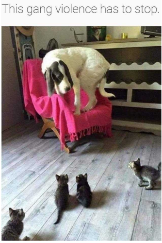 Screenshot_2022-08-12-20-53-44_kindlephoto-163648374