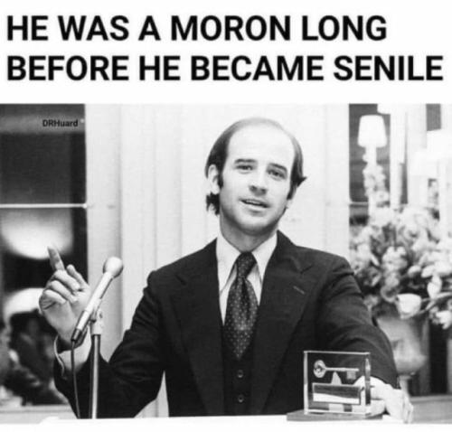 tumblr_ef9a421417932e4cc27e09d7f3422110_3c6ba1de_640