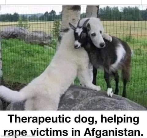 FB_IMG_1645719904368