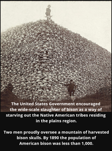 Screenshot_2022-08-12-01-34-36_kindlephoto-307769715