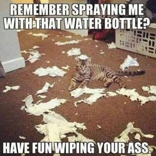 spray_bottle_revenge