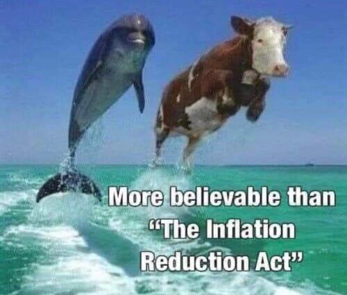 FB_IMG_1660241645405