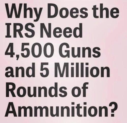 IRS guns me