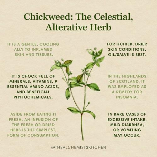 19:32:39 GMT-0500 (CDT)