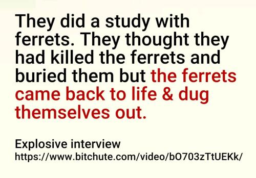 Screenshot_2022-08-06-19-49-01-732_cn.wps.moffice_eng~2