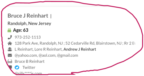 snapshot_www.beenverified.com_1660151426479