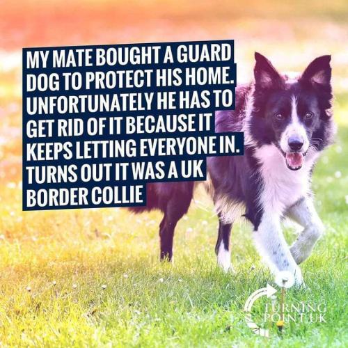 f6091258-e305-4ad5-94af-58ca126f4f17