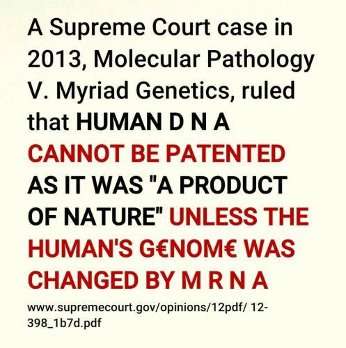 Screenshot_2022-08-06-19-57-05-229_com.google.android.apps.photos~2