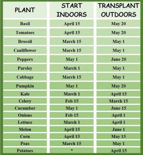 300059731_5282035688558298_2122252186911802953_n