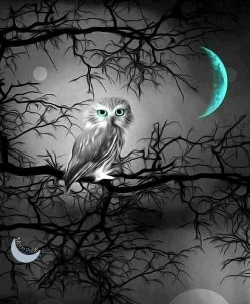 FB_IMG_1661181847207