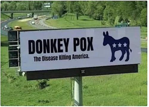 DonkeyPox2022