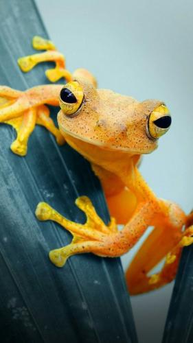 tumblr_6ee8f34f55beb4f1d8effb503c111816_9e9a0c42_640