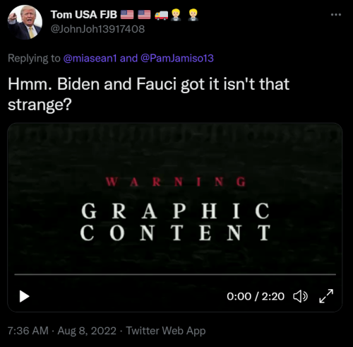 Screenshot 2022-08-08 081144