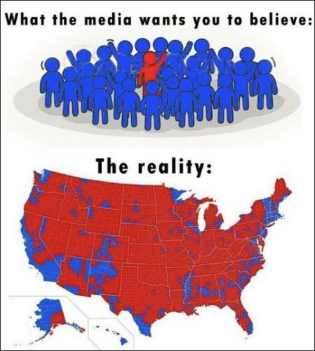 msm199