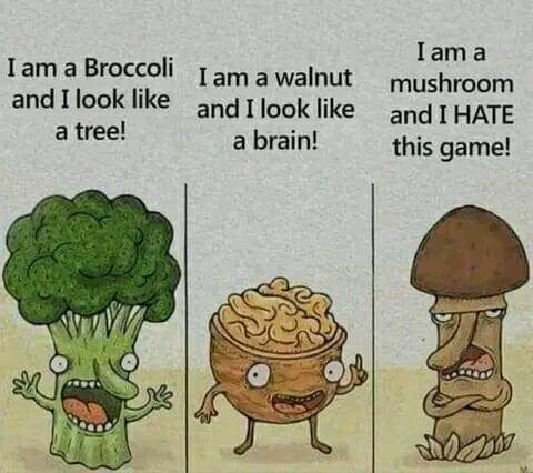 FB_IMG_1661878880637