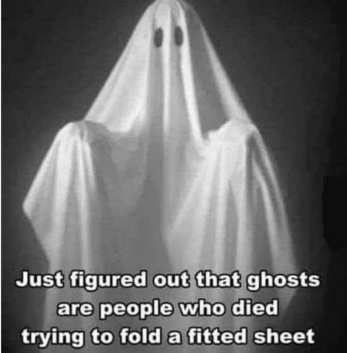 FB_IMG_1660976501140