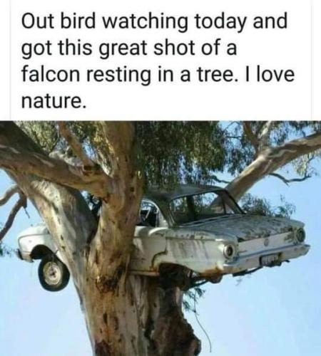 FB_IMG_1660322165716
