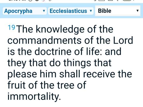 Screenshot_2022-08-24-20-45-31-862_com.android.chrome~2