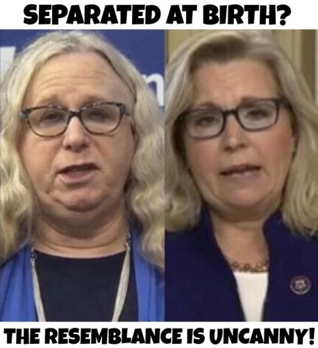 separated at birth liz cheney 757px