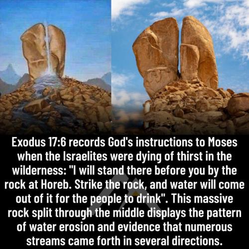 298196565_1705401243161613_176749159727163373_n