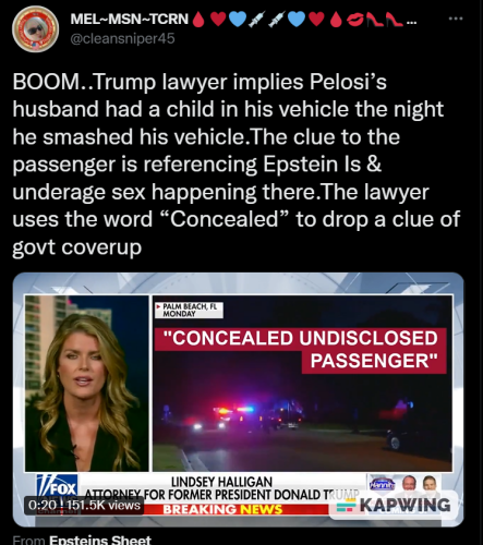 Pelosi 2