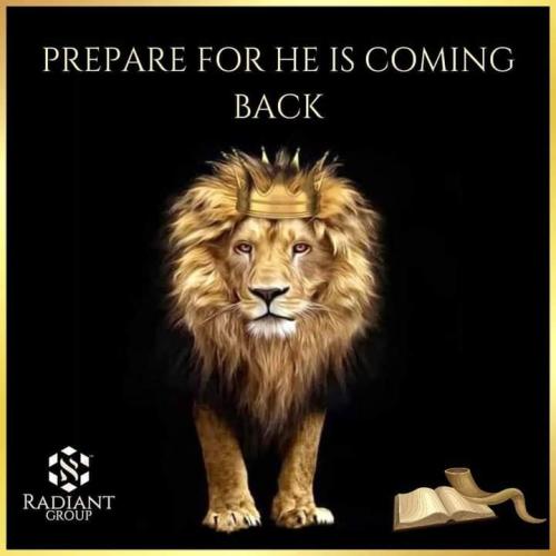 FB_IMG_1661851022464