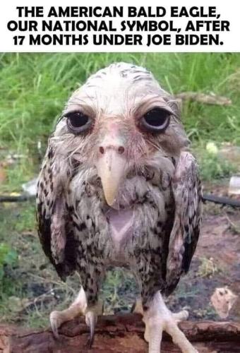 FB_IMG_1661953868860