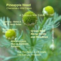 05:24:56 GMT-0500 (CDT)