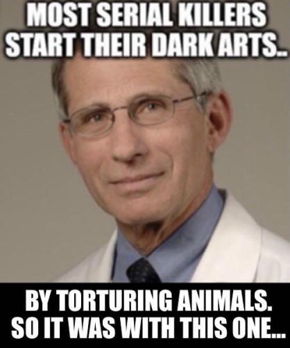 31936FEC-0363-414C-BDA0-ECCDD3FCB393