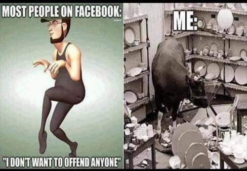 FB_IMG_1661530776338